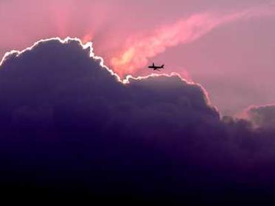 Building brains for bulldozers