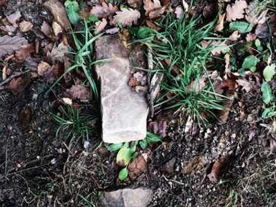 Millions of new solar system objects to be found and 'filmed in technicolor' -- studies predict