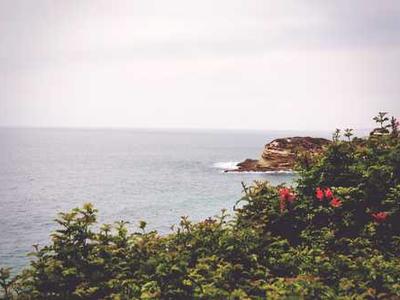 What are Strong Verbs?