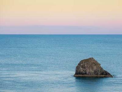 Building brains for bulldozers