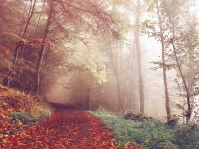 Millions of new solar system objects to be found and 'filmed in technicolor' -- studies predict