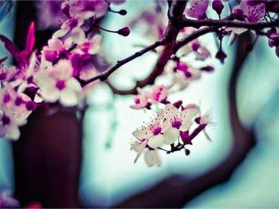 Building brains for bulldozers