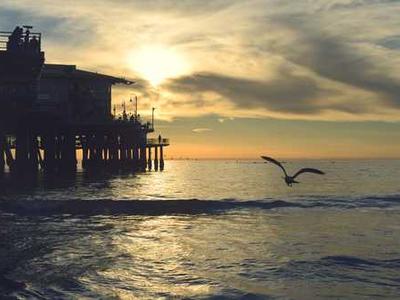 Martin Amis: An Appreciation